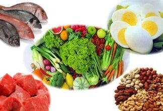 رژیم سنجاب سنجاب